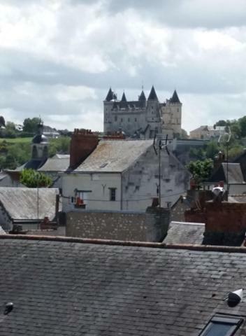 Appt 2Eme Etage Sur L'Ile De 索米尔 外观 照片